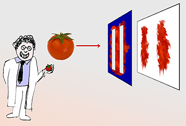 Tomaten im Doppelspaltexperiment